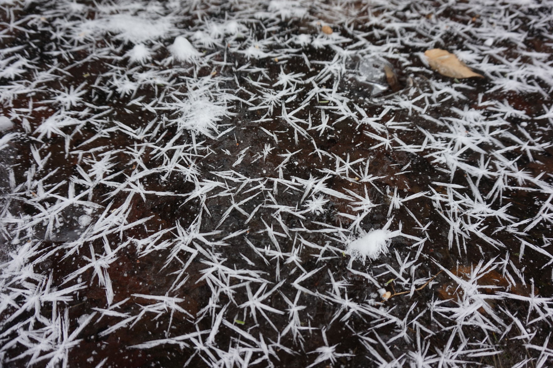 Reader Pics: Jan. 26